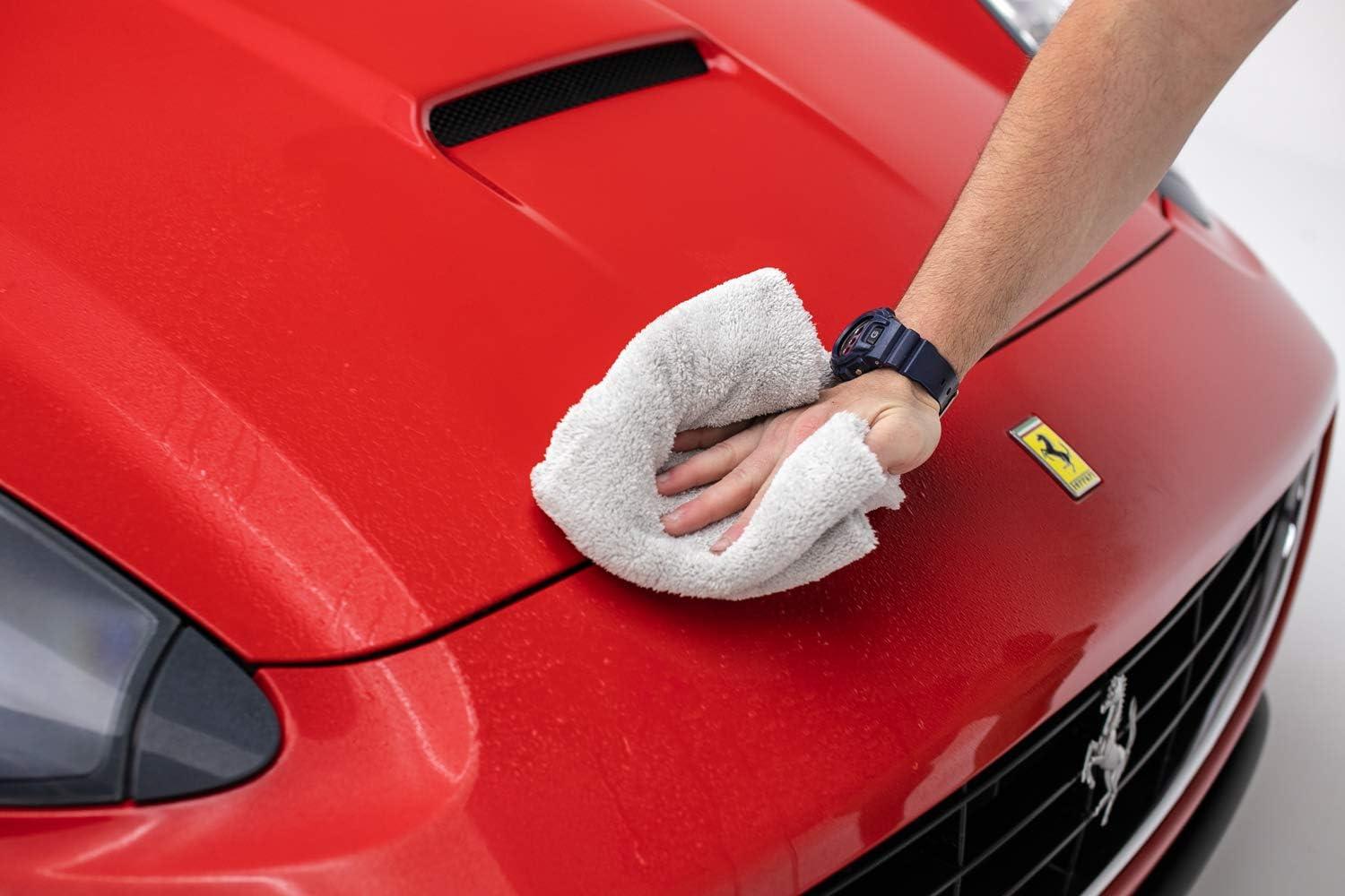 imageThe Rag Company  Creature Edgeless Auto Detailing Towels 10Pack Professional 7030 Blend DualPile Plush Microfiber Buffing ampamp Polishing 420gsm 16in x 16in Lime GreenIce Grey