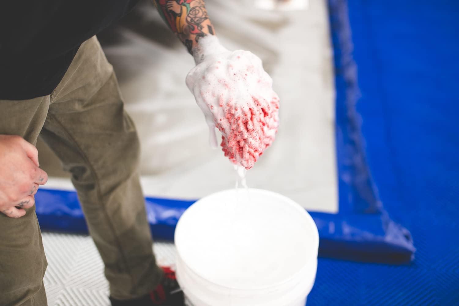 imageThe Rag Company  Premium Chenille Microfiber Knobby Wash Mitts  Perfect for Car Washing and Detailing ScratchFree LintFree DoubleSided Plush and Absorbent Lime Green  Blue 2PackRed